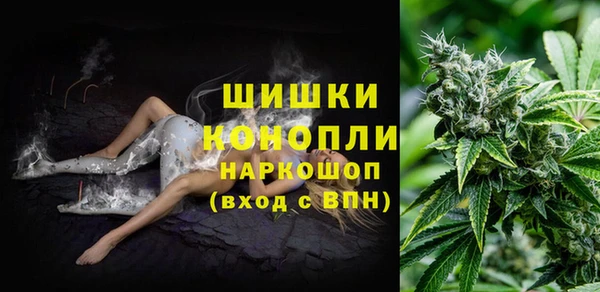 МДПВ Покровск