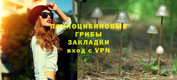 МДПВ Покровск