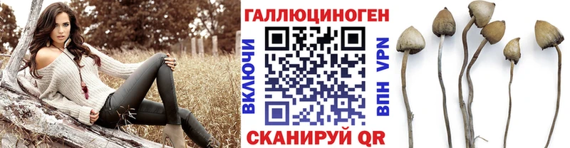 Галлюциногенные грибы Psilocybine cubensis  ОМГ ОМГ ссылка  Сычёвка 